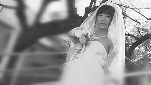 Lovely Wife - Sari Nakamura