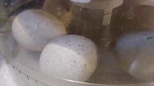 all day i dream about sex 😋