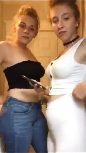 Looks like they're having fun