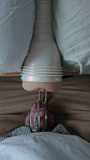 Prejac Training Amateur Beta Chastity Edging