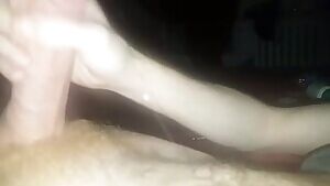 Ignore the wall butterflies