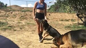 someone train my dogs