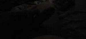 Uncut Cock Amateur Bed Chubby Male