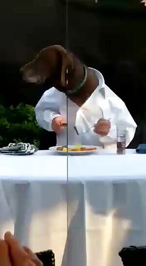 Not sure if it fits for this subreddit but it is awesome