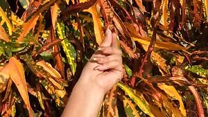 I just want to be worsᵉⁿᵗ ᵐᵒⁿᵉʸhiped, send to begin your servitude