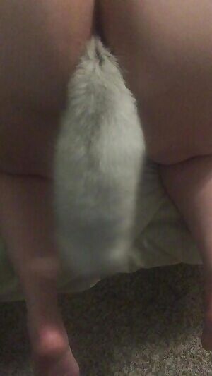 As promised a gi of my wiggling my new tail plug