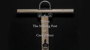 Clamped Balls Bondage CBT Cock