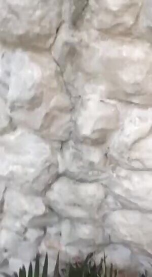 brazilian real public fuck amateur