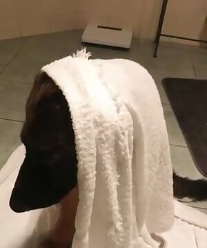 I think this belong here.