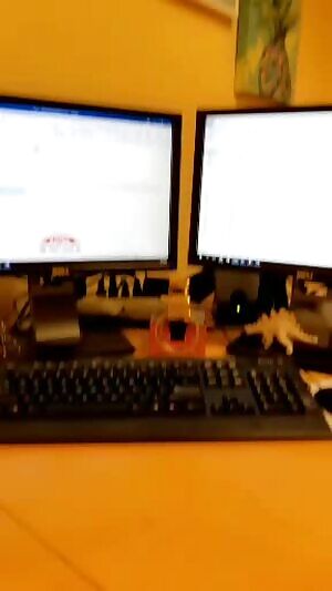 Working on sunday doesn't have to be boring...eel me?