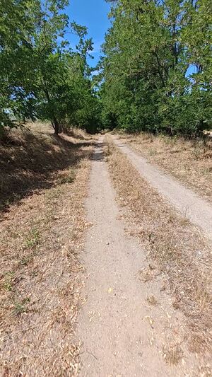 Outdoor Showcase Amateur Cock Hiking Naked