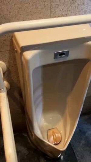 Male Pissing Cock Pee Peeing Piss