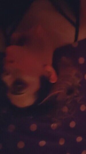 Red Night with a beautiful TS