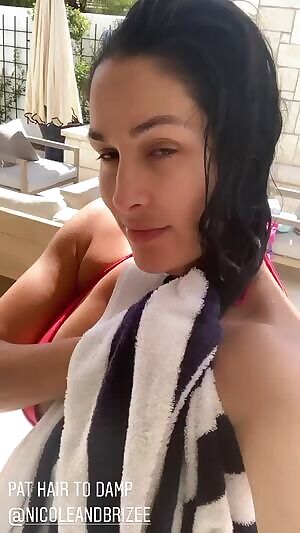 Nikki Bella tease