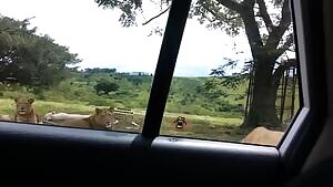 r/gifsthatendtoosoon