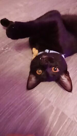 Is mine good looking?