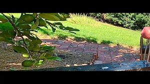 Male Pissing Pee Peeing Piss Watersports