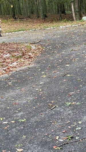 Gay Latino Big Dick Fetish Outdoor
