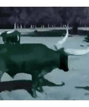 Just some smooth anal. Who wants next?