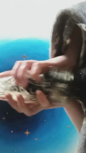 Monster Fuckers Dildo Fleshlight Tentacles