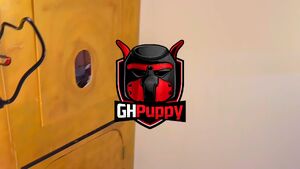 Gay Gooner Blowjob Puppy Sloppy