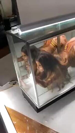 She wanted to be a animal