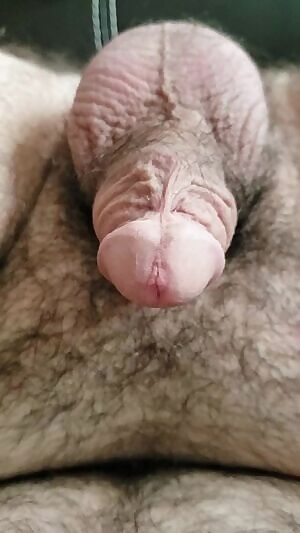 Would you like to watch me get hard?