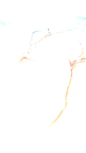 Small Cocks Big Dick Fat Cock