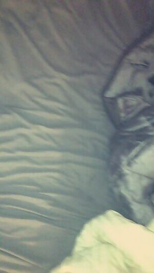 did someone order a big veiny cock?