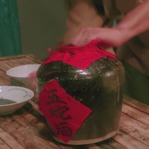 B-Movie Babes Asian NSFW r/BmovieBabes