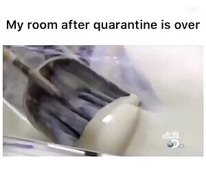 Me after 2 weeks of vanilla