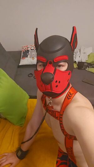Pup Community Ass Fetish Gay Hood
