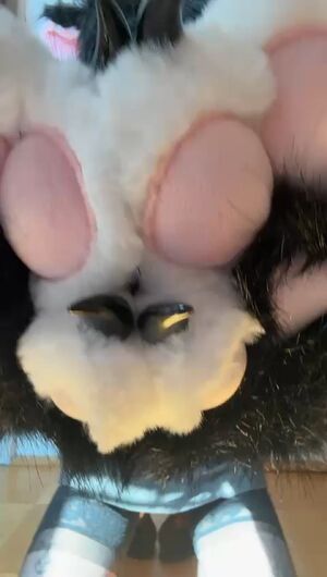 Tik Tok Cute Dance Furries Furry