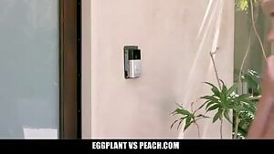 Frosted scout cookie.