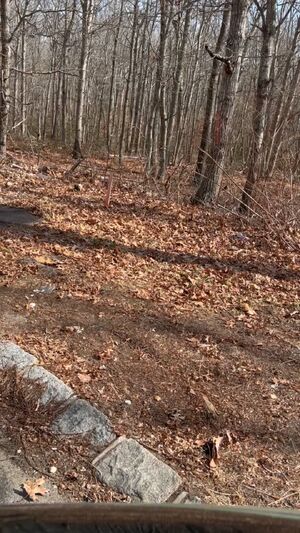 Gay Latino Cock Outdoor Piss