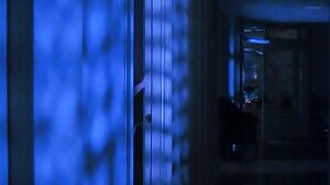 Bridget Fonda in 'Single White Female'