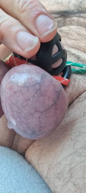 Bi Kinky Amateur CBT Caged Chastity