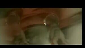 Cristina Garavaglia - The Voyeur