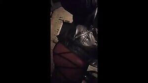 Playing on my back porch. Got a cup of sugar for me, neighbor? <x-post> More GIFs in comments!