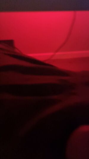 Prejac Training Amateur Beta Chastity Cum
