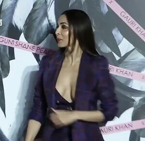 Malaika Arora's Wide Open Boobs, Pasties Visible