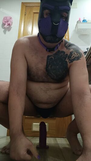 Bears Amateur Ass Bear Cock