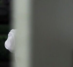 Elisha Cuthbert is all wet and wants to come in