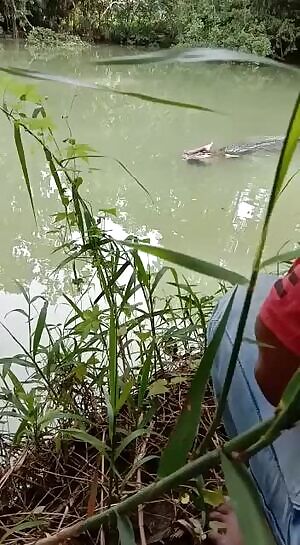 After crocodile attack NSFW NSFL