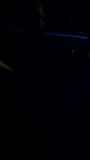 In The Car Amateur Blonde Flashing