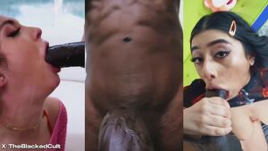 Gay Blowjobs Beta Split Screen Porn