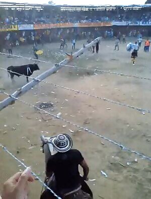 Man gets impaled on bull horns