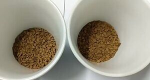 2 cups of piss coffee