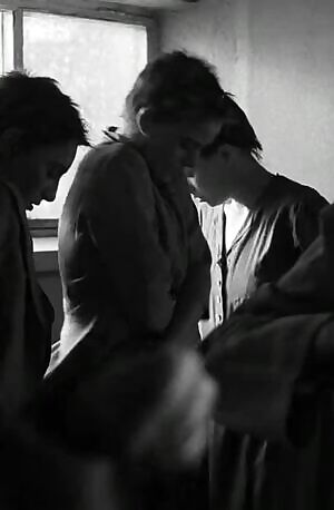 Unknown plot in Schindler's List