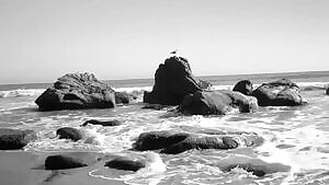 Gigi Paris for Treats